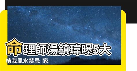 八房九重葛風水|家裡的植物別亂種！命理師湯鎮瑋曝5大植栽風水禁忌…